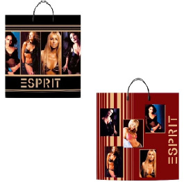 ПАКЕТ с пласт.руч. ESPRIT 37х35см(10 шт) УП