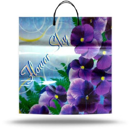 ПАКЕТ с пласт.руч. FLOWER SKY (10шт) УП