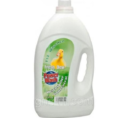 Ополаскиватель Power Wash 4 л Fresh Dew Германия