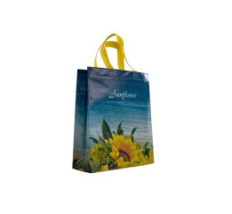 Сумка ламинированная 290*330*100 Sun Flower ШТ