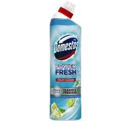 Domestos Океан 0,7л (12)