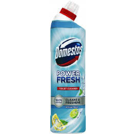 Domestos Океан 0,7л (12)