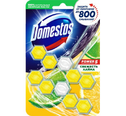 Domestos змін блок Power 5 Свіжість Лайма 2 х 55 г