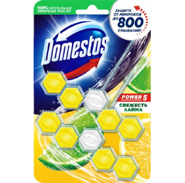 Domestos змін блок Power 5 Свіжість Лайма 2 х 55 г