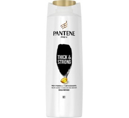 PANTENE 400 STRONG (6)
