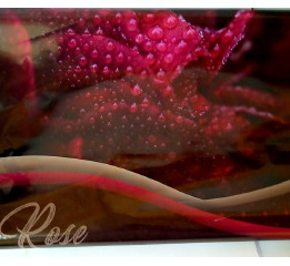ПАКЕТ з пласт.руч. ROSE 40*45 (10шт) УП