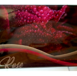 ПАКЕТ з пласт.руч. ROSE 40*45 (10шт) УП
