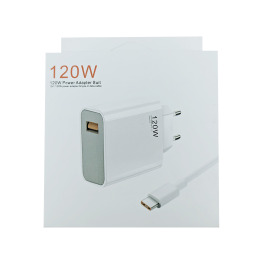МЗП Type-C X style 1USB/120W (N L) біл